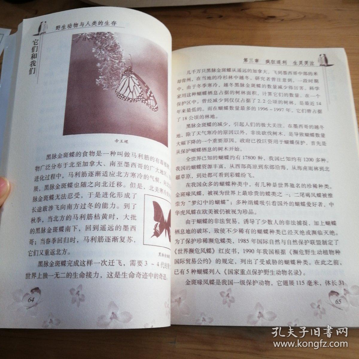 它们和我们：野生动物与人类的生存