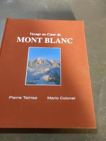 voyage au coeur du mont Blanc