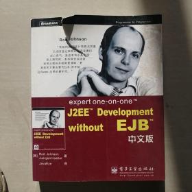 expert one-on-one J2EE Development without EJB 中文版