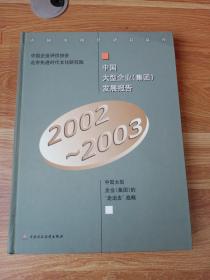 2002/2003中国大型企业（集团）发展报告