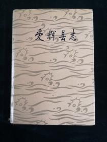 爱辉县志（一层）