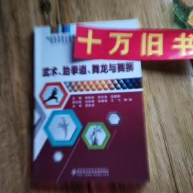 武术、跆拳道、舞龙与舞狮