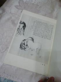 郎世宁（中国古代美术作品介绍）1984年一版一印