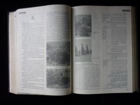 中国大百科全书:环境科学