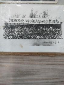 河南省新乡棉花学校毕业畄念1964年