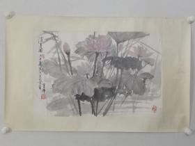 保真书画，官布《消夏图》荷花国画一幅，原装裱镜心，尺寸49×73cm。官布，（1928-2013年）擅长国画和油画。中国美协第二第三、四届理事。历任中国美协内蒙古分会秘书长、副主席，北京美协秘书长、副主席。曾是第二三届内蒙古政协委员和五六届北京政协委员。