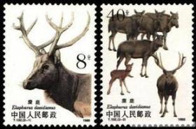 1988年 T132麋鹿邮票 集邮收藏 JT票 保真原胶好品