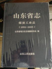山东省志煤矿工业志（1991一2005）