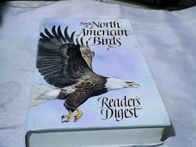 Book of North American Birds本书北美鸟类 手绘彩色版