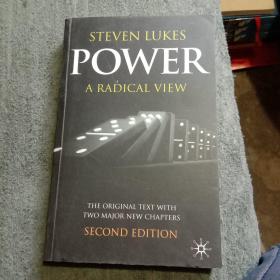 Power A Radical View（32开本）原版