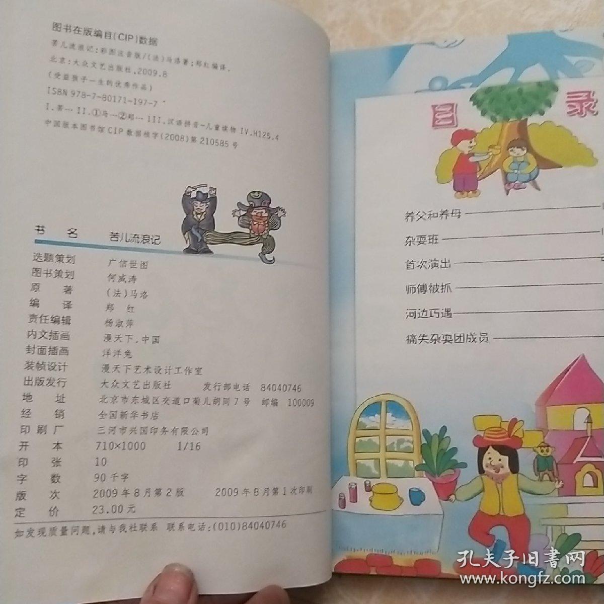 苦儿流浪记（世界少年经典文学丛书）