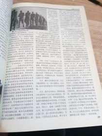 突击精选特刊(血肉长城)