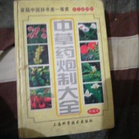 中草药炮制大全