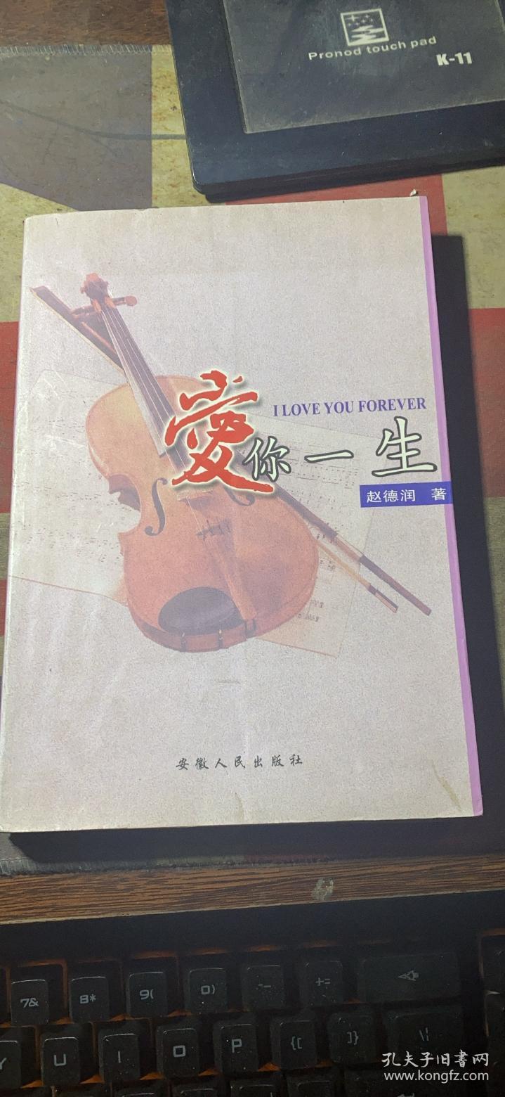 正版     爱你一生；一版一印