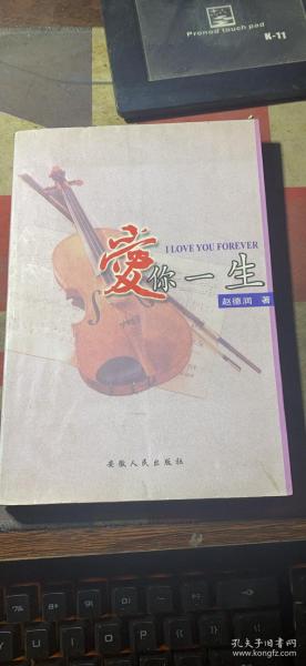 正版     爱你一生；一版一印