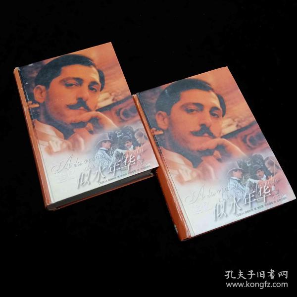 追忆似水年华（上下）