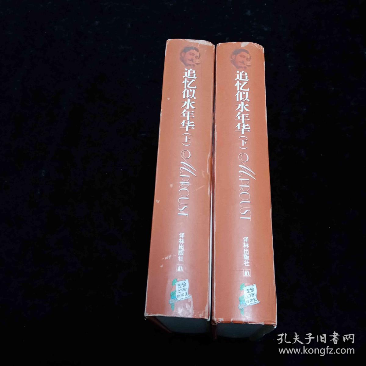 追忆似水年华（上下）