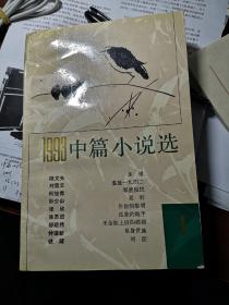 1993中篇小说选 （1）