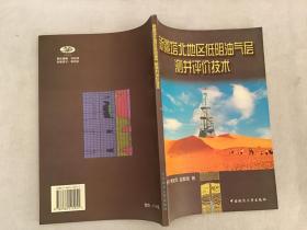 新疆塔北地区低阻油气层测井评价技术