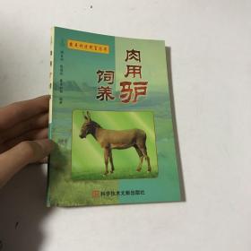 肉用驴饲养