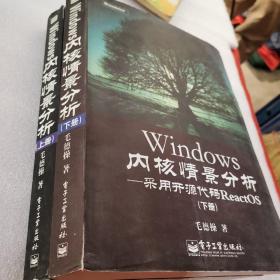 Windows内核情景分析：采用开源代码ReactOS