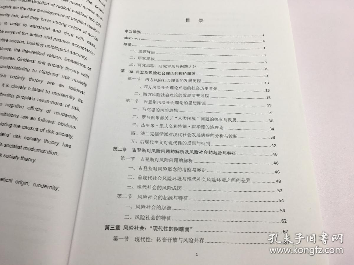 首都师范大学博士学位论文    吉登斯风险社会理论研究