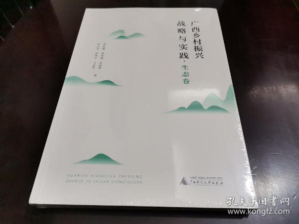 广西乡村振兴战略与实践·社会卷