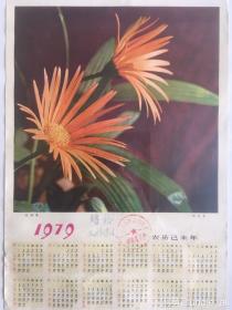 #每日一更# 1979年 赠给三好学生 怀旧年画挂历年历画品 品相如图 尺寸八开 全网络销售 喜欢的朋友不要错过