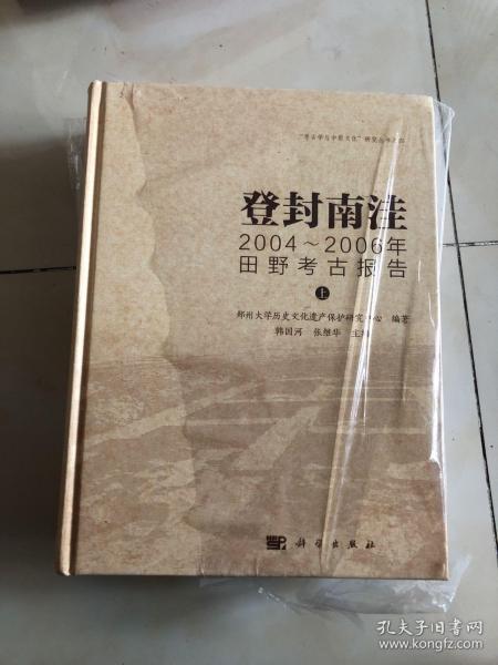 登封南洼：2004-2006年田野考古报告 上下   未翻阅过