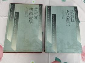 黄宾虹抉微画集