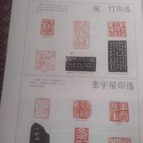 画页—--书法--千字文印谱选【沈浩、鲁大东、包根满、洪亮、刘银鹏、崔志强】。祝竹印选、张宇星印选570