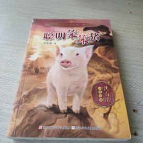 动物小说大王沈石溪 奇幻书系：聪明笨笨猪