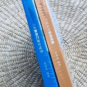 稀缺溢价 少林正宗内功五拳 少林罗汉门秘传武功 内外兼修 J