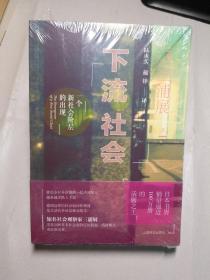 低欲望社会：“丧失大志时代”的新·国富论+下流社会：一个新社会阶层的出现（全两册）