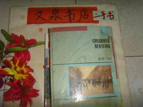 英文原版  CONSUMER BEHAVIOR   第2版  精装  7成新  封面及封底边缘小磨损 有的内页有字迹