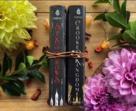 预售乌鸦六部曲精装 The Six of Crows Duology Boxed Set : Six of Crows and Crooked Kingdom