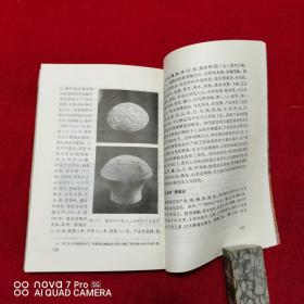 壮族通史上中，两册合售，品好见图