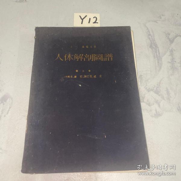 人体解剖图谱（第五版第三卷外文版1959年）16开布面精装 内有些许水渍