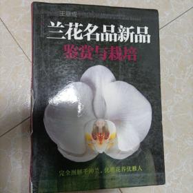 兰花名品新品鉴赏与栽培(书脊粘修，内容全新)