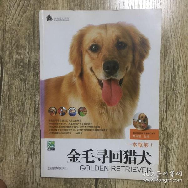 金毛寻回猎犬