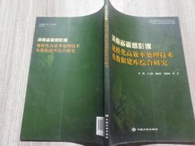 河南省遥感影像规模化高效率处理技术及数据建库综合研究