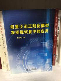 能量泛函正则化模型在图像恢复中的应用