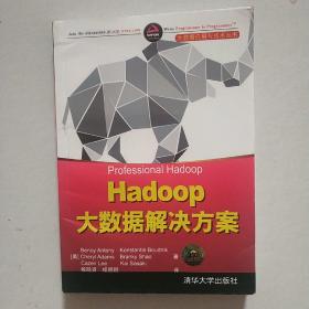 Hadoop大数据解决方案/大数据应用与技术丛书