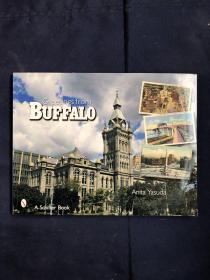 Greetings of BUFFALO 布法羅的問候 美國紐約州西部伊利湖東岸城市 英文原版 歷史彩圖老照片資料