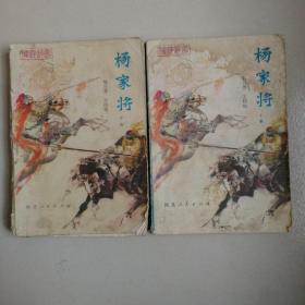 杨家将