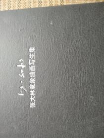 张大林意象油画写生集(包正版)