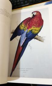 BIRDS:FINE DECORATIVE PRINTS MAUREEN LAMBOURNE（实物图）