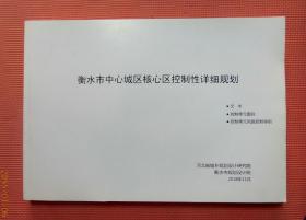 衡水市中心城区核心区控制性详细规划 2018版