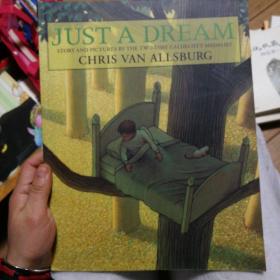 Just a Dream 仅仅是一个梦 ISBN 9780547520261