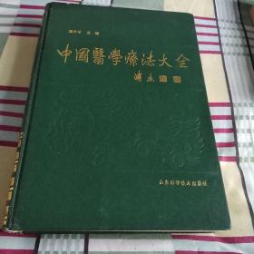 中国医学疗法大全